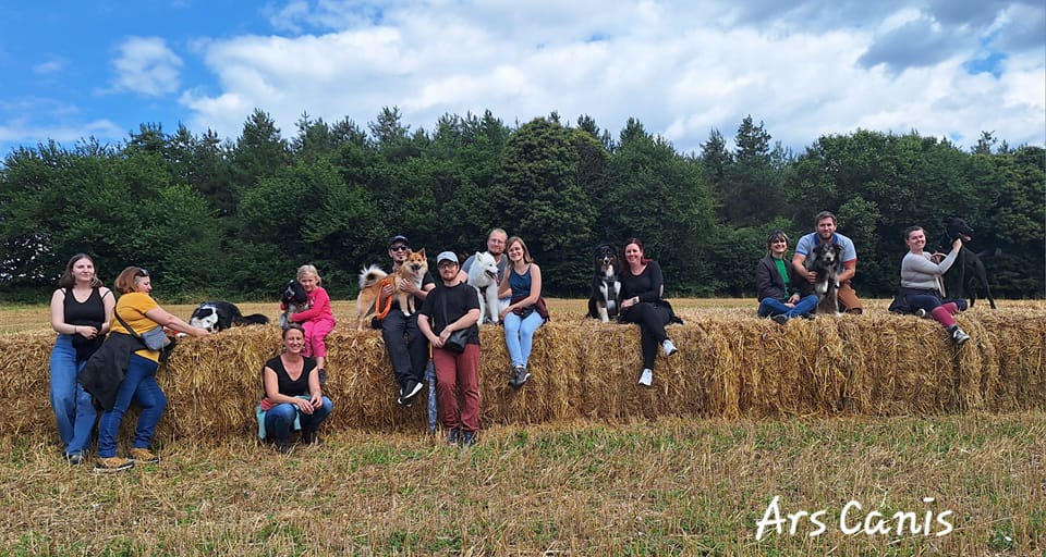 cours collectif education canine