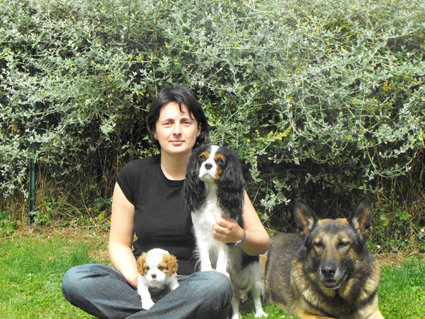 formation canine